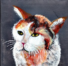 791_Petra's Hund Alaska.jpg