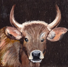 240_Malay Banteng (Bulle).jpg