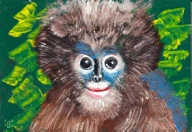 222_Südl. Brillenlangur .jpg