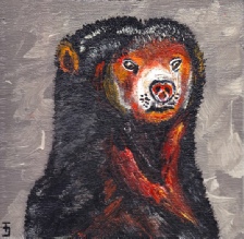 237_Malay Sun Bear.jpg